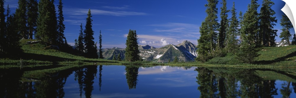 Reflection of pine trees in a lake, Alpine Lake, Gunnison National Forest, Colorado