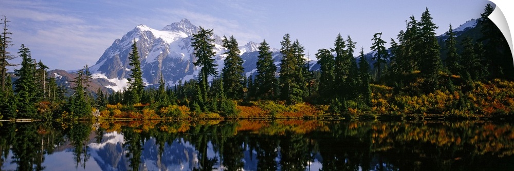 Pine trees and a snow covered mountain reflect perfectly into the lake that sits in front of them.