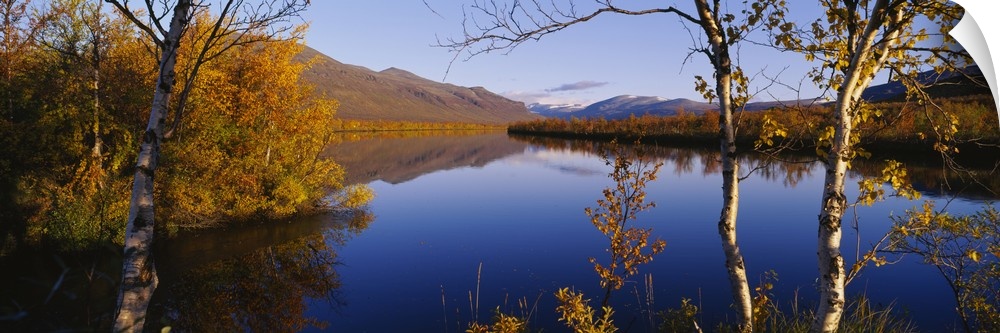 Reflection of trees and mountains in a river, Vistas River, Nikkaluokta, Lapland, Sweden