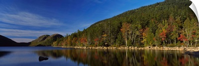 Reflection of trees in water, Acadia National Park, Maine