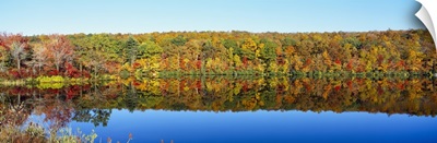 Reflection of trees in water, Lake Hamilton, Massachusetts