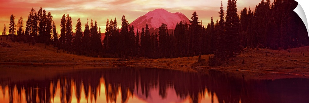 Panoramic image of Mount Rainier reflected with trees in a lake printed on canvas.