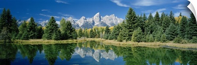Reflection of trees in water with mountains in background, Schwabachers Landing, Grand Teton, Grand Teton National Park, Wyoming