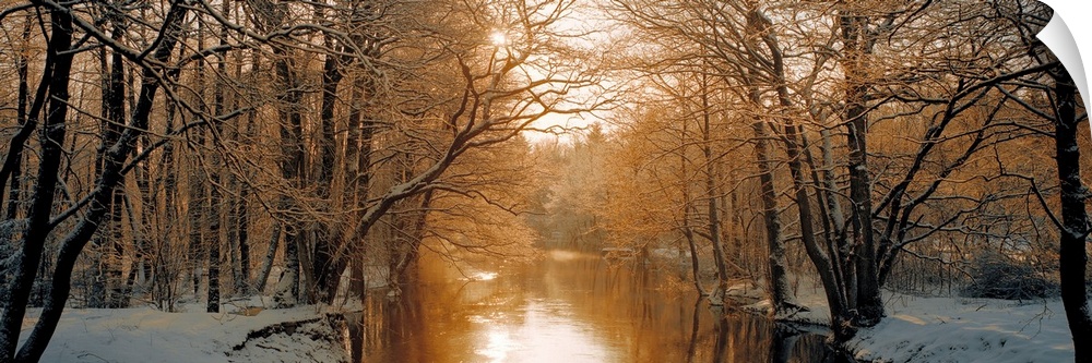 Wall art of a snowy landscape full of trees is divided by a calm river backlit by warm sunlight.