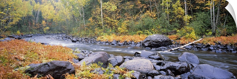Panoramic photograph of rock stream running through the woods.