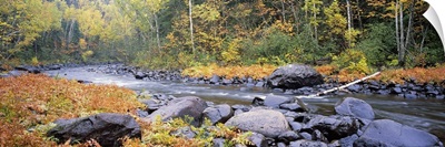 River flowing through a forest, Brule River, Judge C.R. Magney State Park, Minnesota