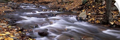 River flowing through a forest Delaware Water Gap National Recreation Area New Jersey