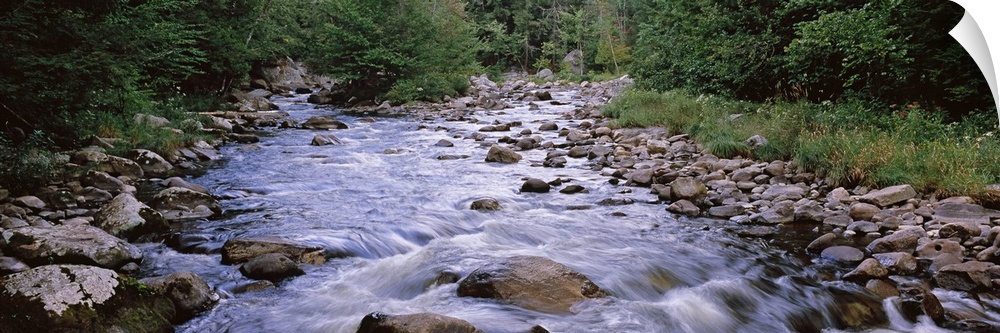 A river flows over rocks with thick brush and foliage lining both sides of the water.