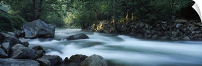 River passing through a forest, Nantahala Falls, Nantahala National Forest, North Carolina