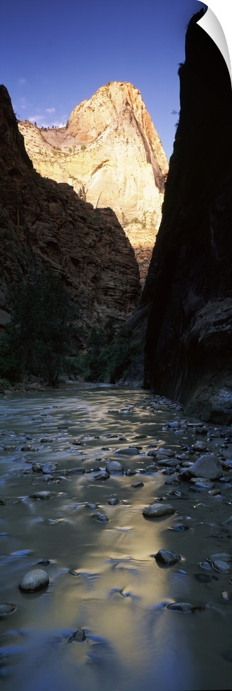 River with rock formations in the background, Virgin River, Zion National Park, Utah, USA
