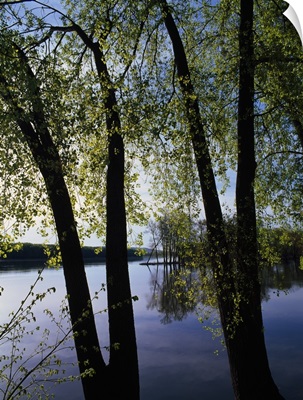 Riverview through budding trees, Mississippi River, Upper Mississippi National Wildlife Refuge, Iowa