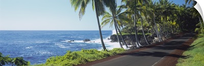 Road along a coast, Hawaii