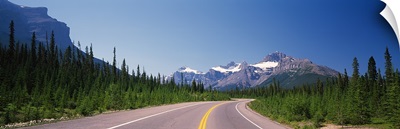 Road passing through a forest, Trans Canada Highway, Banff National Park, Alberta, Canada
