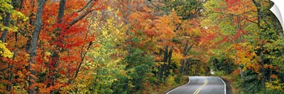 Road passing through a forest, U.S. Route 41, Keweenaw County, Keweenaw Peninsula, Michigan