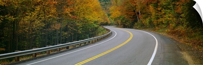 Road passing through a forest, Winding Road, New Hampshire