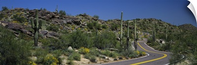 Road Phoenix AZ
