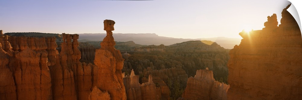 Rock formations in a canyon, Thor's Hammer, Bryce Canyon National Park, Utah, USA