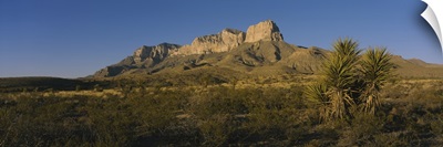 Rock formations on a landscape, Guadalupe Mountains National Park, Texas