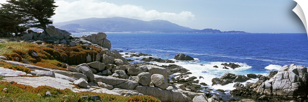 Rock formations on the coast 17 Mile Drive Monterey Monterey County California