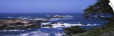 Rock formations on the coast, Point Lobos State Reserve, California