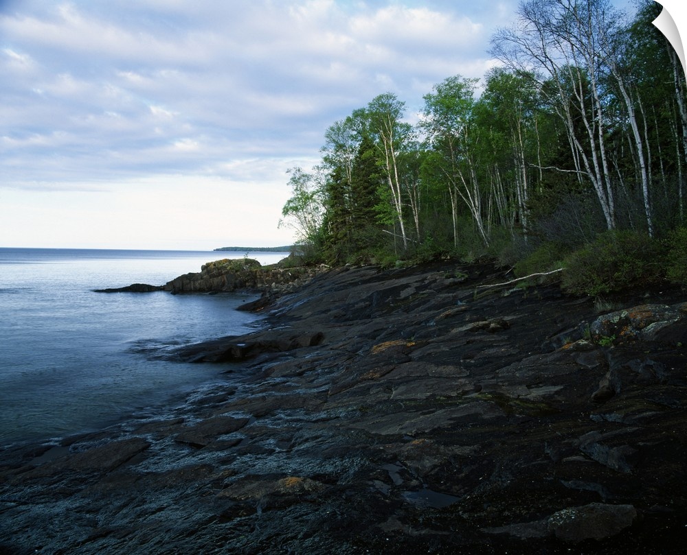 Large photograph shows a dense forest next to the rocky shore of a large body of water within the Midwestern United States...