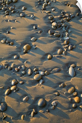 Rocks embedded in sand on Ruby Beach, close up, Olympic National Park, Washington