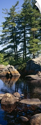 Rocks in a river, Moose River, Adirondack Mountains, New York State