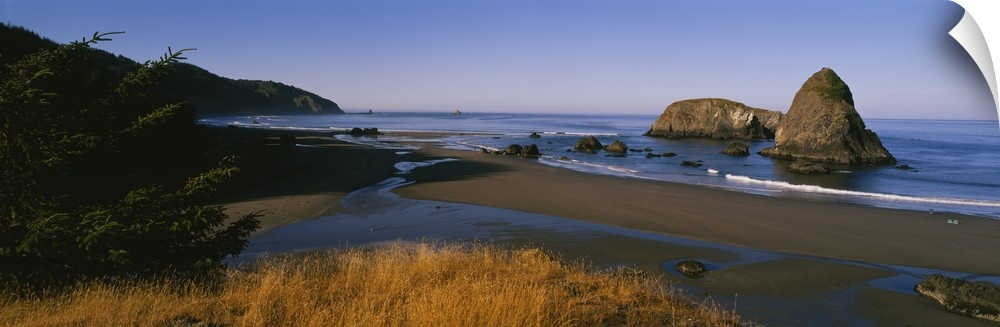 Wide angle photograph looking over grasses to the shoreline on Cannon Beach, large rocks jutting out of the water, in Oregon.