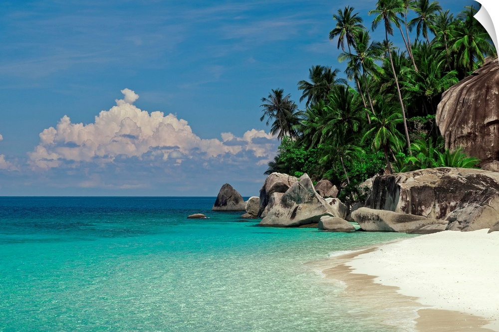 Huge boulders and palm trees line the shore of this sandy beach and clear tropical water in this landscape photograph.