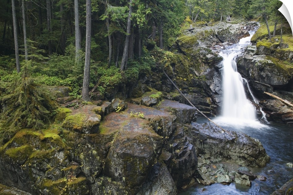 Rocky Silver Falls, Mount Rainier National Park, Washington