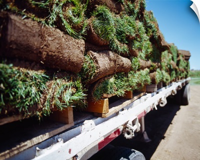 Rolled up sod on a truck, Arizona
