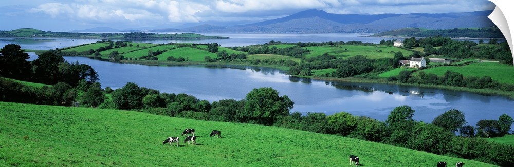 Rolling green fields Bantry Bay Cork Co Ireland