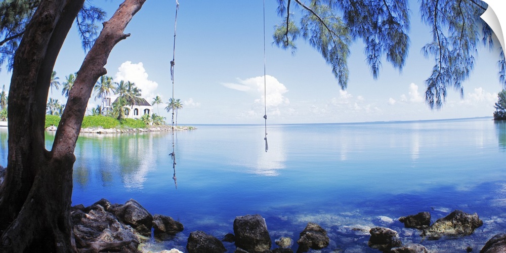 Photograph of calm Key West waters with two rope swings tied to the branch of a drooping pine tree with a small cottage in...