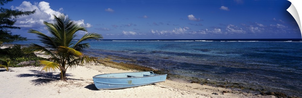 A single boat resting on the sandy shore next to a young palm tree and the tropical ocean water in the Caribbean.