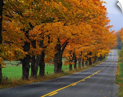 Rural Road in Autumn
