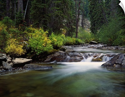Rushing water of Cascade Creek, Grand Teton National Park, Wyoming