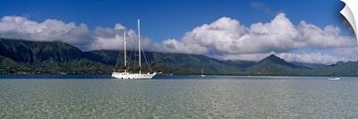Sailboat in a bay, Kaneohe Bay, Oahu, Hawaii