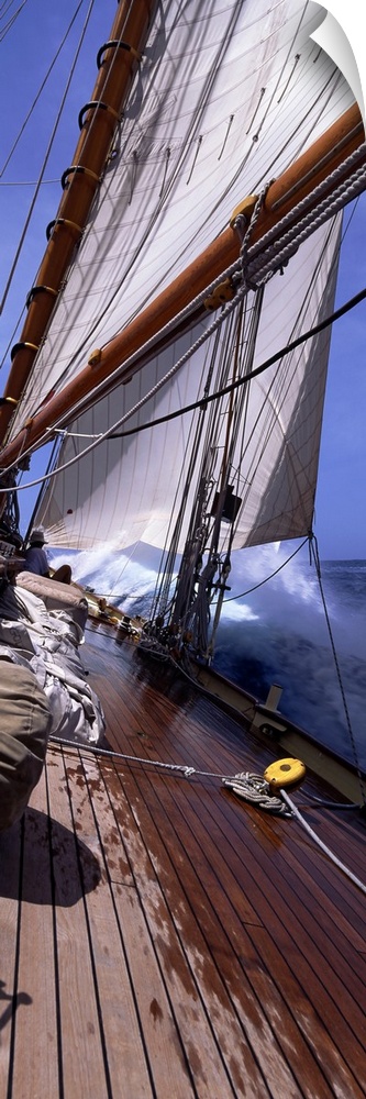 Sailboat in the sea, Antigua, Antigua and Barbuda