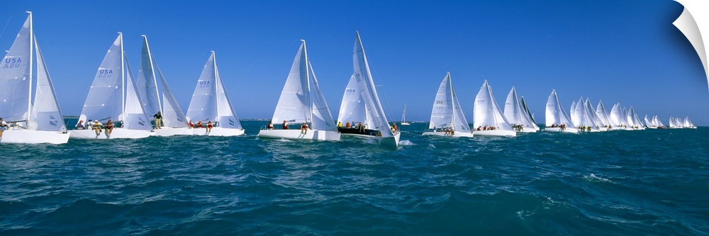 Long and narrow photo print of sailboats lined up in the ocean for a race.