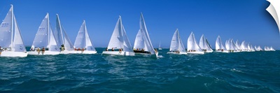 Sailboat Race Key West FL