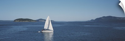 Sailboat sailing in the sea, San Juan, Washington State