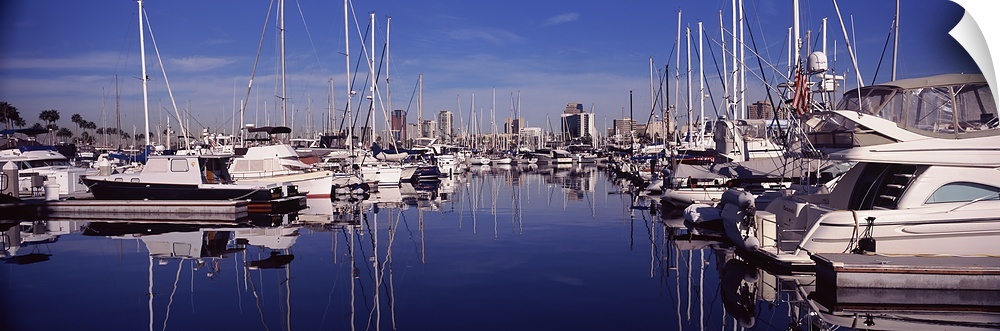 Sailboats at a harbor, Long Beach, Los Angeles County, California, USA