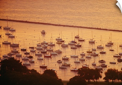 Sailboats in the sea, Grant Park, Chicago, Cook County, Illinois,