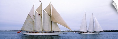 Sailboats in the sea, Narragansett Bay, Newport, Newport County, Rhode Island