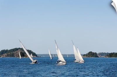 Sailboats in the sea, Stockholm Archipelago, Stockholm, Sweden