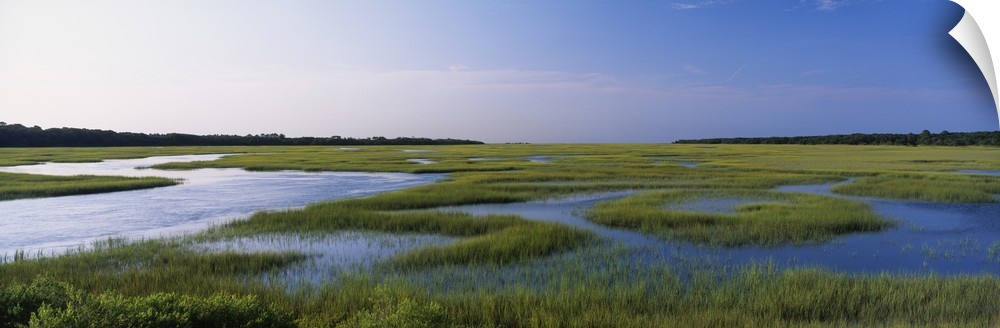 Salt Marsh Atlantic Coast FL