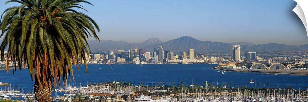 A large panoramic view of the San Diego skyline with water shown in front and sail boats standing in the water. A large pa...