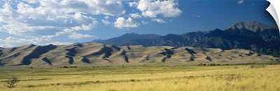 Sand dunes along a grassy field, Colorado