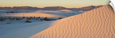 Sand dunes and Yuccas at sunrise, White Sands National Monument, New Mexico