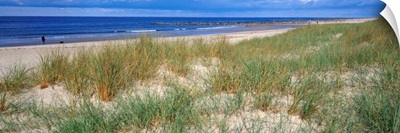 Sand Dunes Blaavand Huk Jutland Denmark
